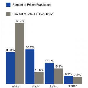 2013 US Prison Population by Race
