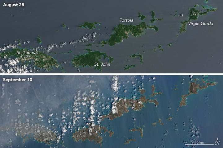 Before and after satellite images of the U.S. Virgin Islands demonstrating the damage done to its foliage. Source: Wikimedia