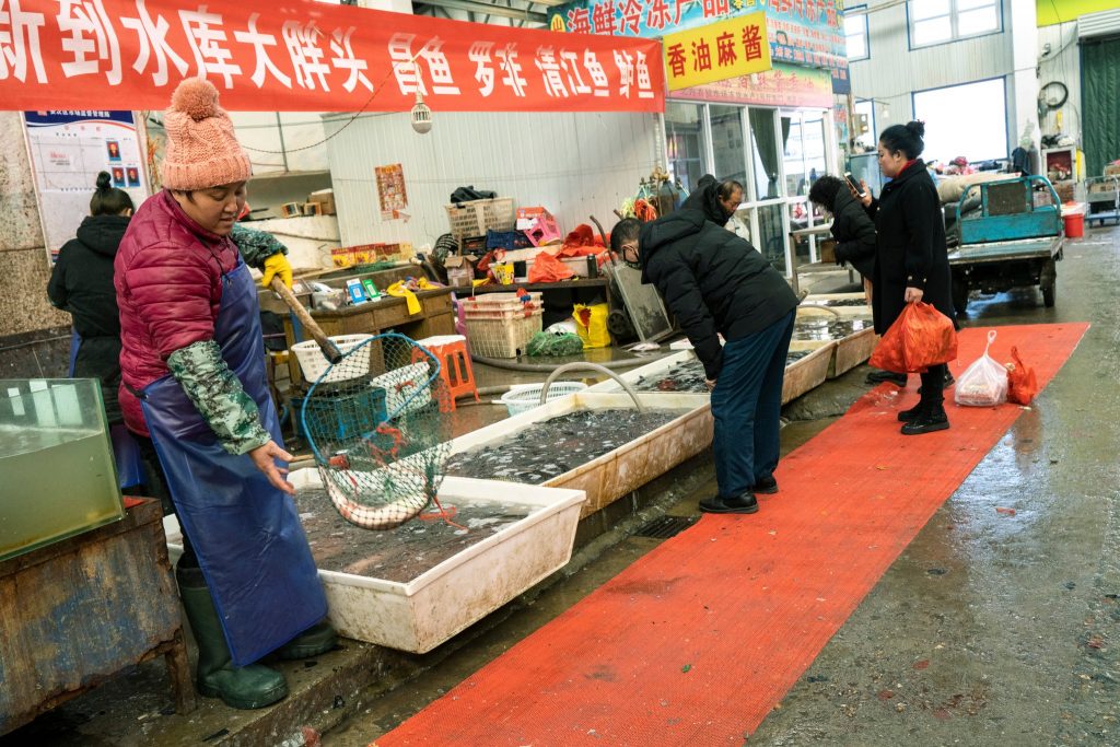 Wet market in Langfang